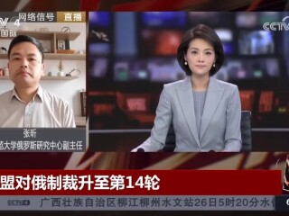 张昕参加CCTV-4新闻节目 评论近期欧洲局势