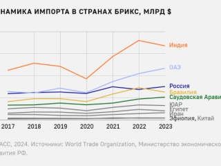 TACC:Эксперт рассчитывает на повышение роли БРИКС на международной арене