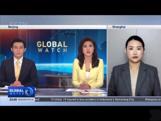 周边中心青年研究员王玏接受CGTN《Global Watch》采访，就俄美迈阿密会谈及欧洲安全问题直播连线